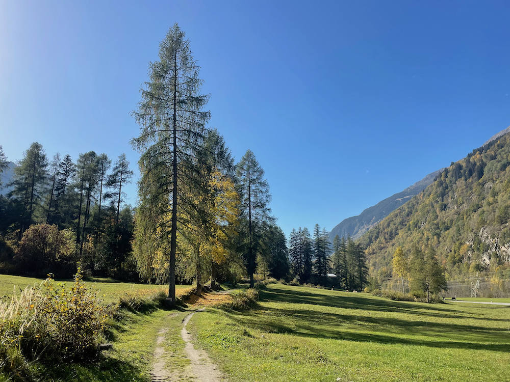 Zwischen Vicosoprano und Borgonovo