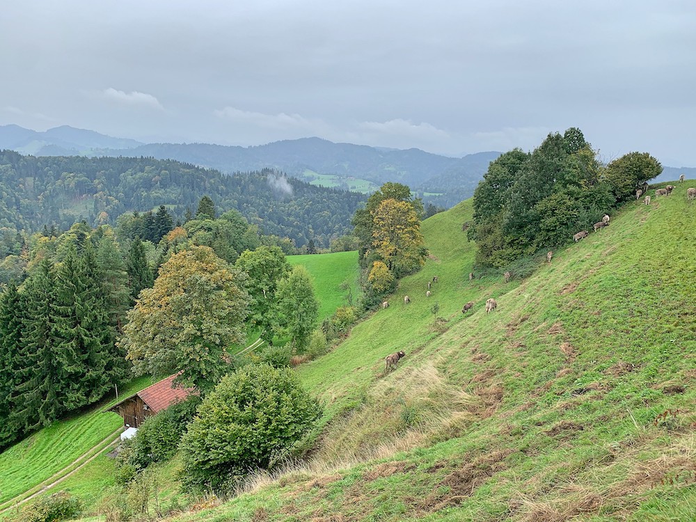 Landschaftsbild