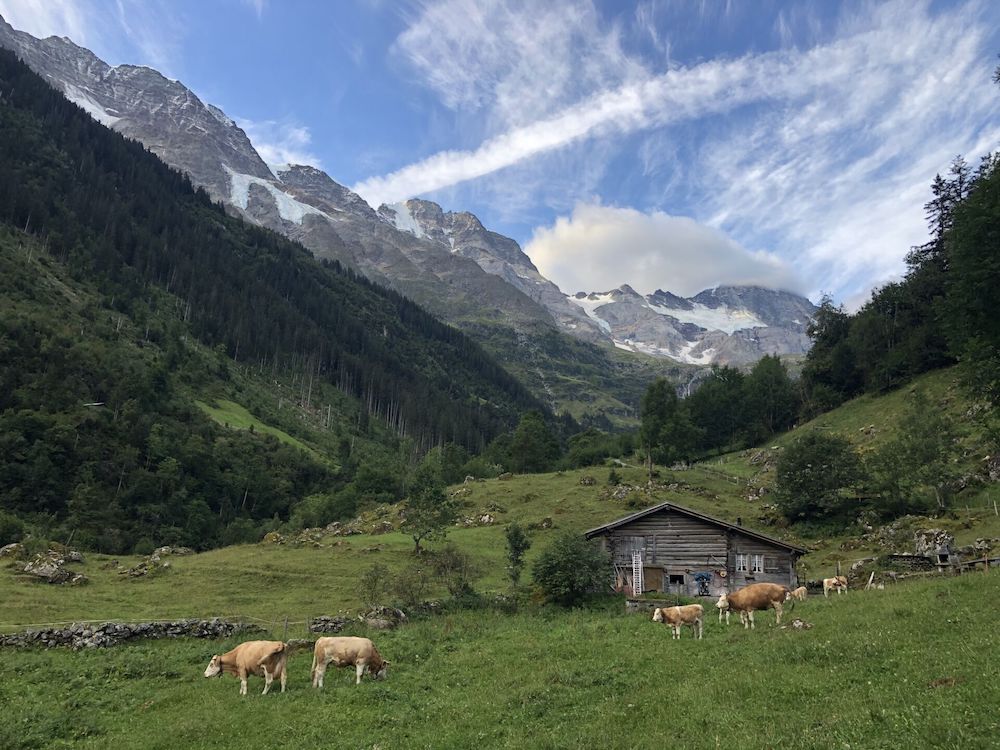 Auf dem Weg nach Trachsellauenen