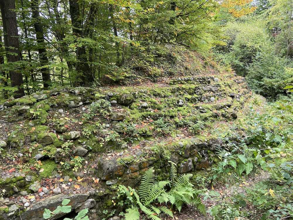 Überreste der Burg Glanzenberg