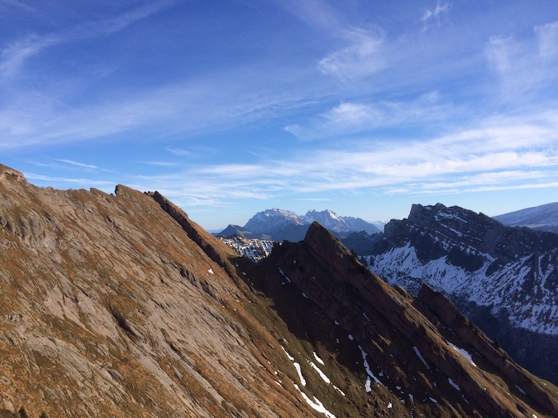 Nagelfluhplatten und -formationen wohin das Auge reicht. Im Hintergrund Mattstock und Säntis