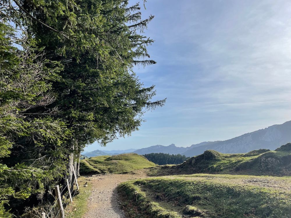 Dem Waldrand entlang – am Horizont der Hohe Kasten