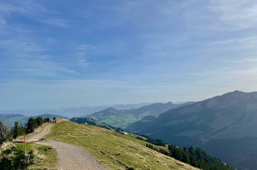 Blick auf den Wanderweg