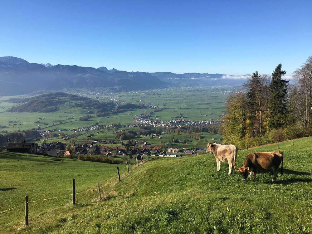 30. Oktober 2017: Von Rieden führt der Weg zuerst steil über die Wiesen nach oben…