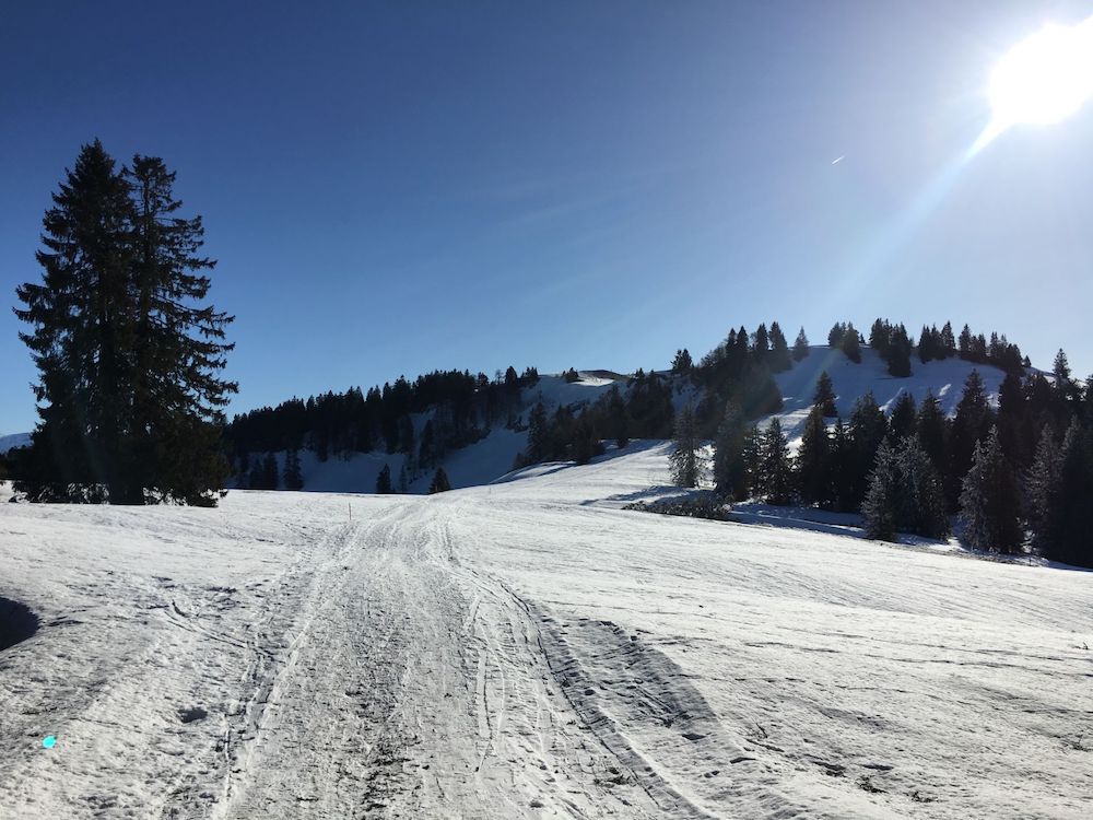 Rückensurfen, im Hintergrund das Tagesziel