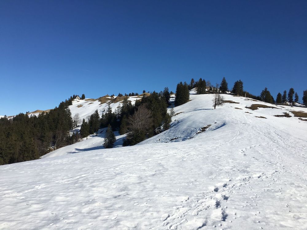 Blick zurück von Ober Howald