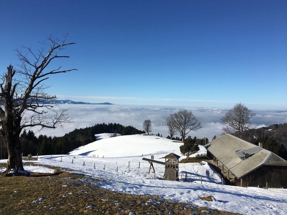 Die Alp Wielesch am 14. Januar 2018