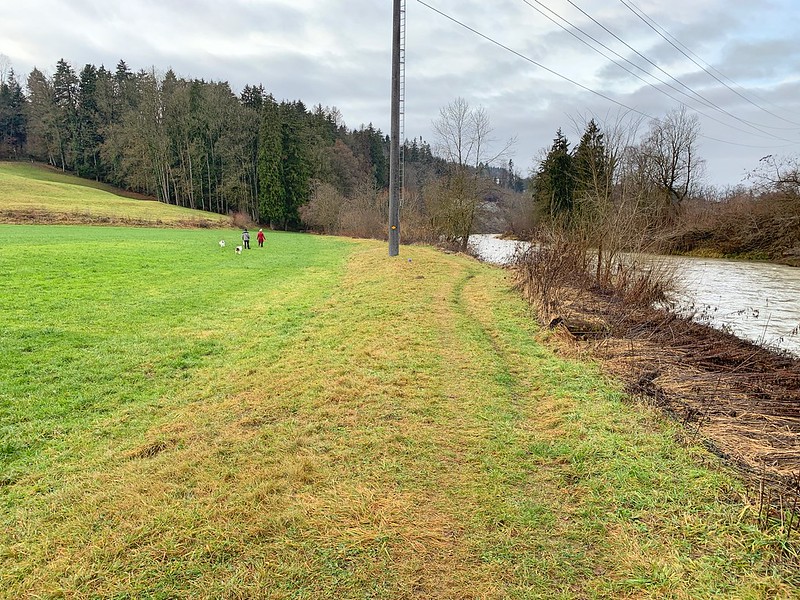 Wanderweg der Thur entlang