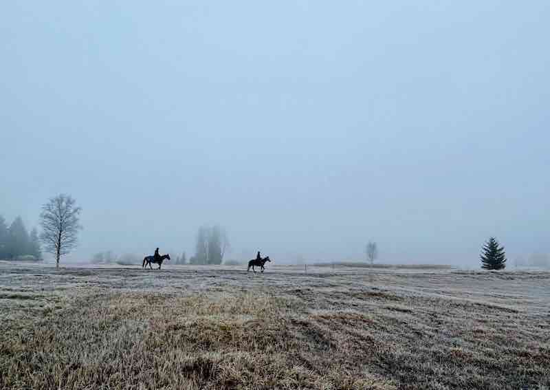 Reiten ohne Hindernisse