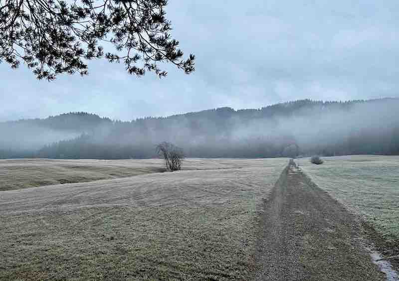 Bei Biberbrugg dem Waldrand zu