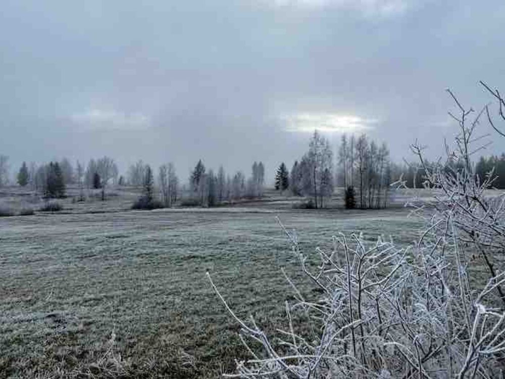 Moorlandschaft bei Rothenthurm