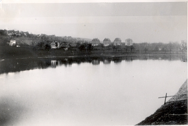 gestauter Weiher auf dem Riet