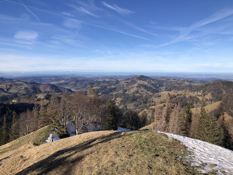 Im Aufstieg zum Schnebelhorn