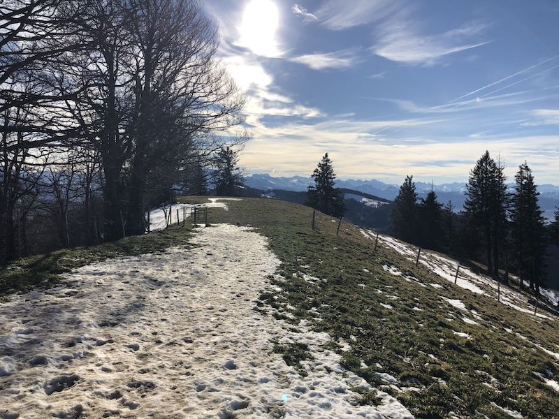 Winterspuren auf dem Schnebelhorn