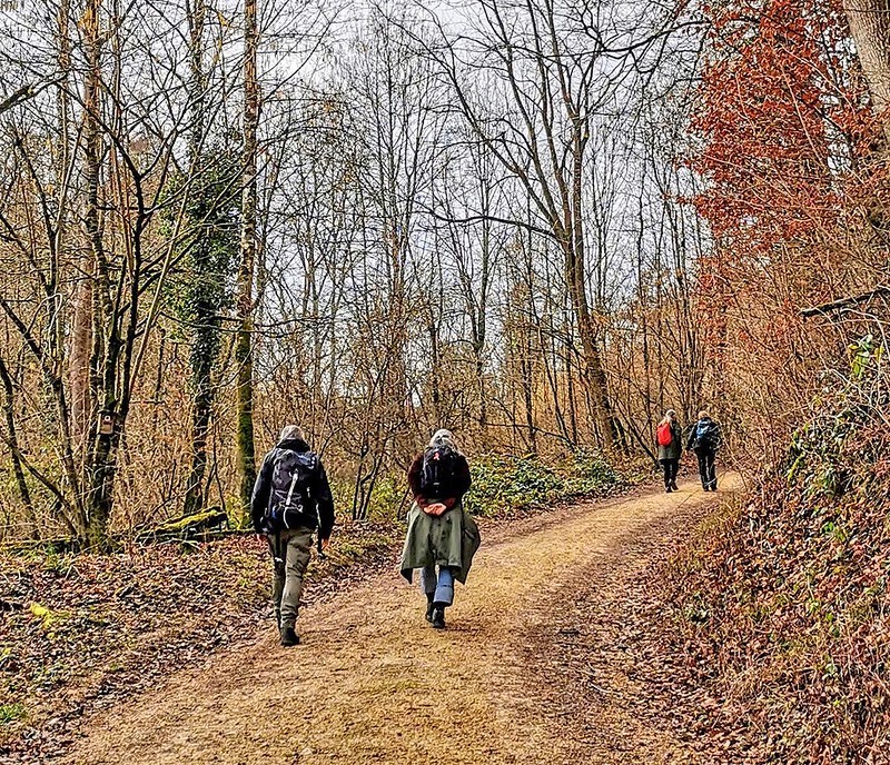 Wandern im Frauewald