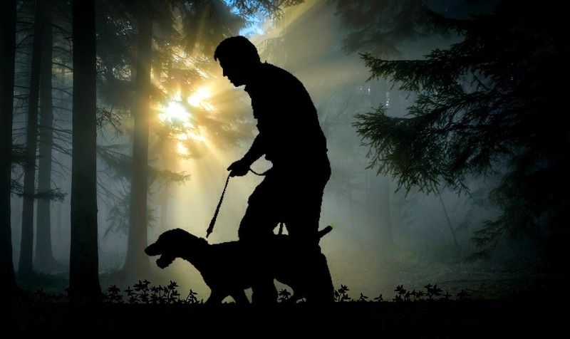 Mann mit Hund im Wald