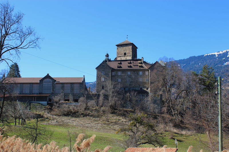 Schloss Ortenstein von Osten