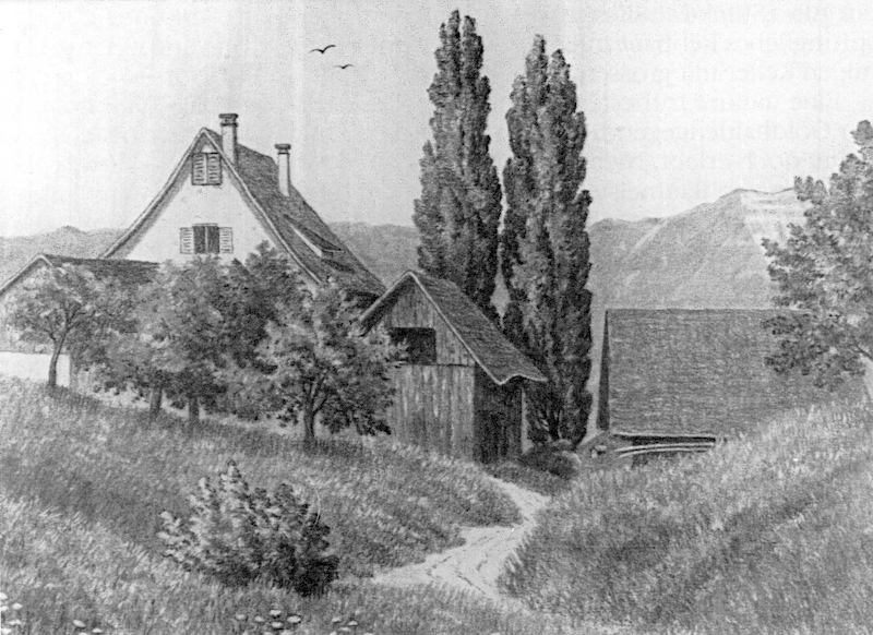 Der Hohlweg: Die «Bergstrasse« vor 1930. Die Scheunen sind dem Neubau zum Opfer gefallen, das «Doktorhaus» oberhalb des Dufourplatzes steht noch.