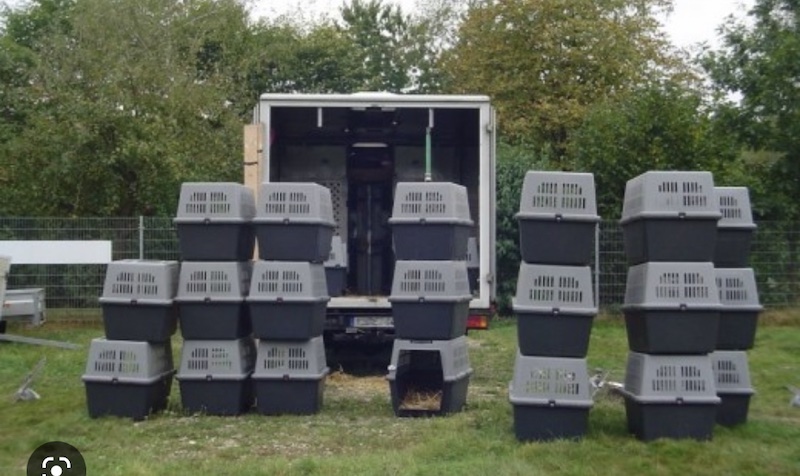 Hundeboxen der Kantonspolizei