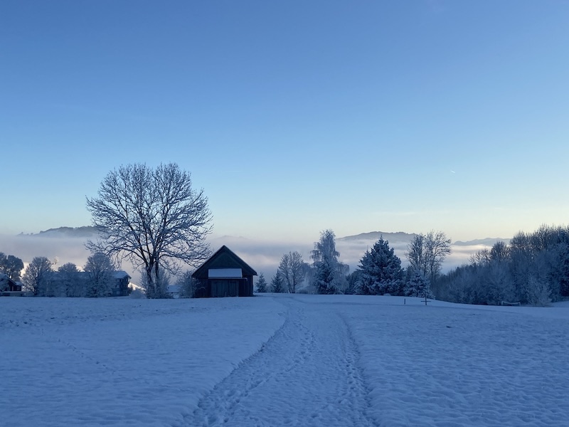 Eisig kalt, noch keine Sonne, aber auch kein Nebel