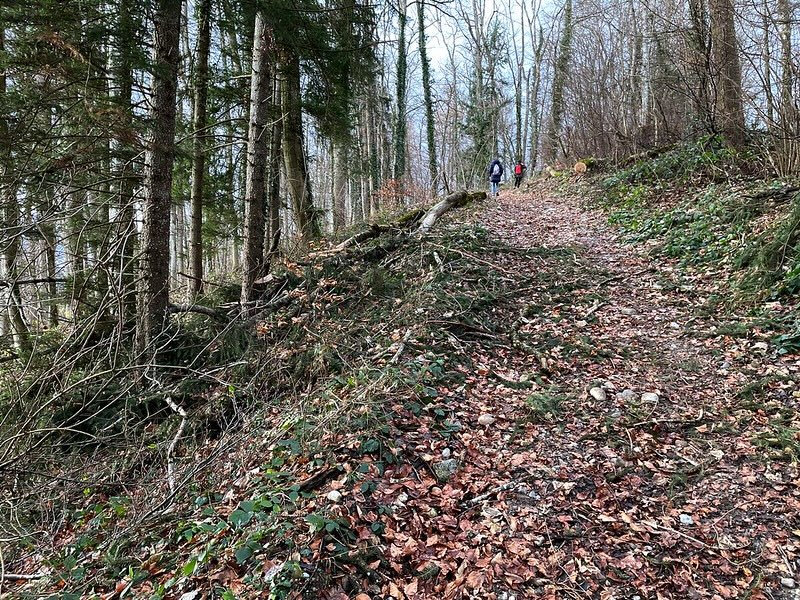 Die letzten Meter vor dem Gipfel 