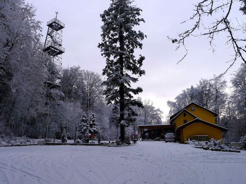 Ein Erinnerungsfoto: Das Maiengrün 2017, als Schnee lag