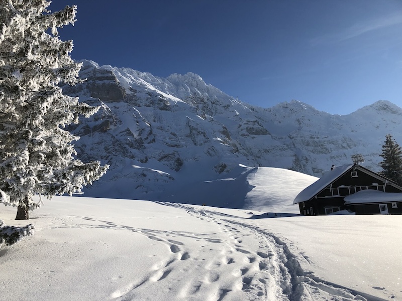 Einfach hinreissend! (Bei der Chammhaldenhütte)