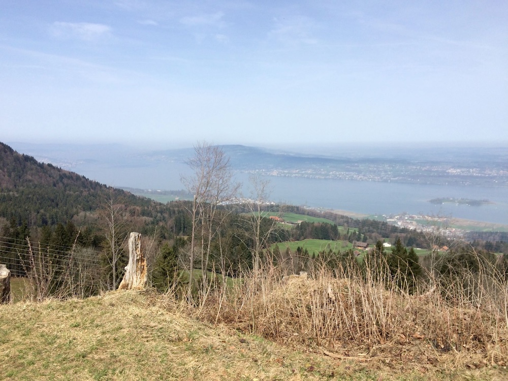 Zürich im Dunst, St. Meinrad hell