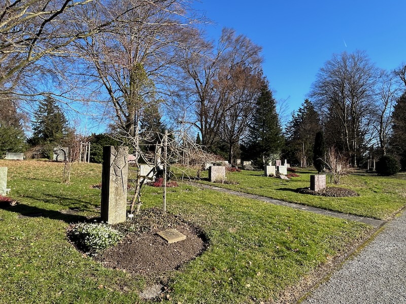 Friedhof Manegg mit den ersten Schneeglöggli