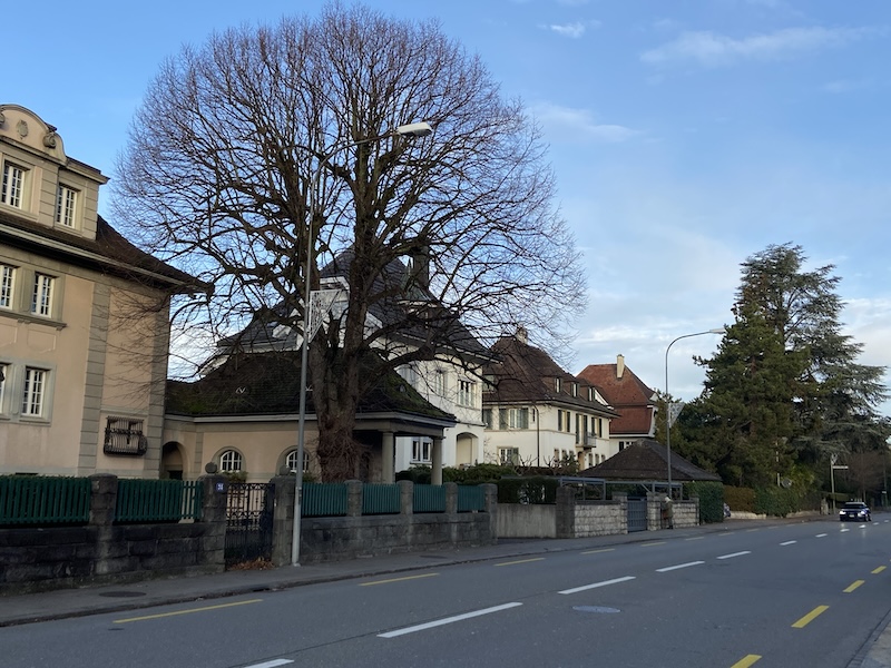 Ein Uferweg vor den Zolliker Seevillen? Das ist die Frage (Foto: rs)