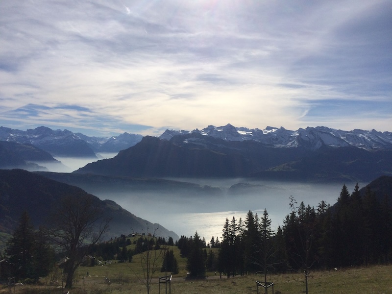 Am letzten Samstag verschwand der Nebel- heute nicht. Nur zur Veranschaulichung, dass diese kurze Tour immer wieder anders ist