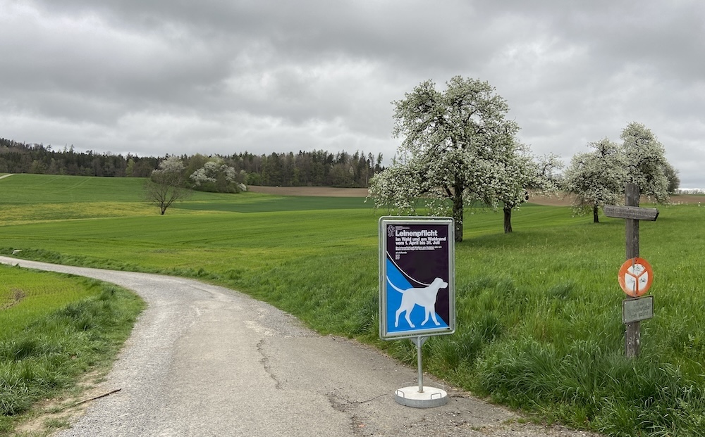 Gebiet «Brunnenwisen», wo der Kanton eine Deponie plant (Foto: ZN)