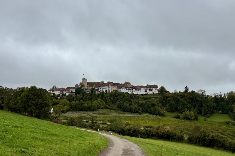 Das Ziel: Regensberg