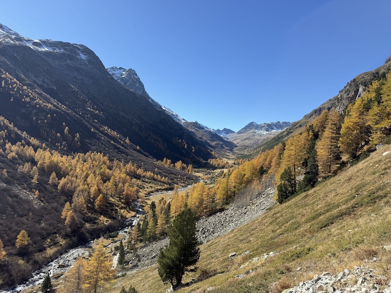 Ist das nicht ein Traum?