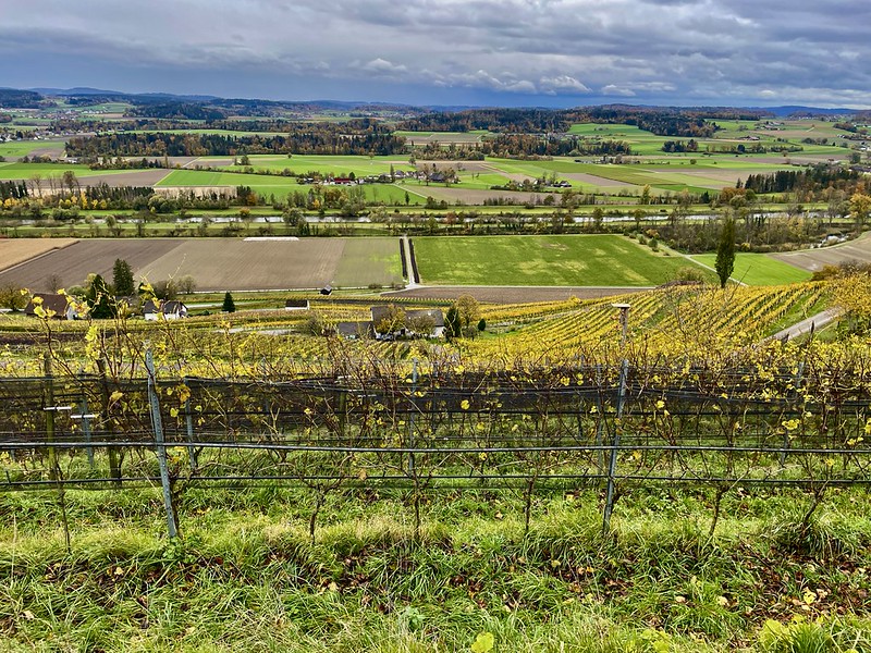 Bei Iselisberg, Blick aufs Thurtal