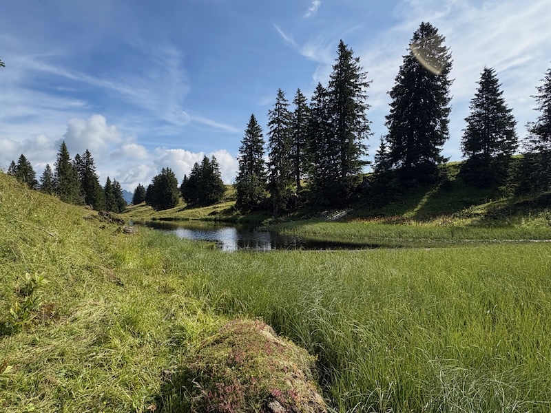 Ein kleiner namenloser See