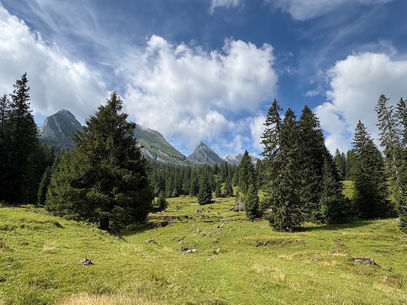 Blick zurück zu den Churfirsten