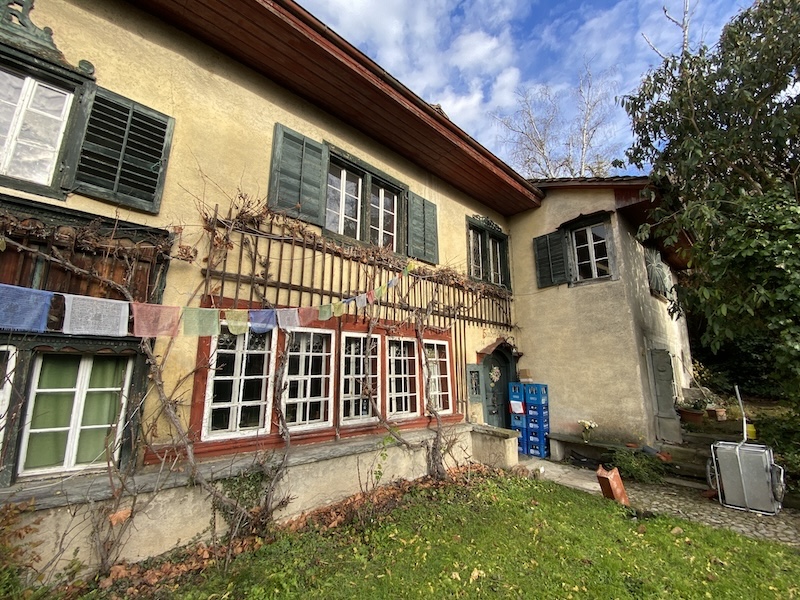 «Hinter Zünen» heute mit absterbender Birke im Hintergrund (Fotos: ZN, Adrian Michael, zvg)
