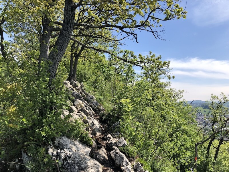 Ein Hauch von alpinem Flair