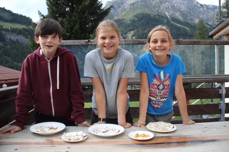 Erfolgreiche Pilzsuche