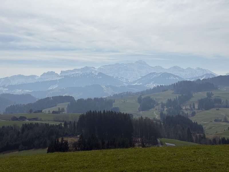 Der Dominator des Appenzells