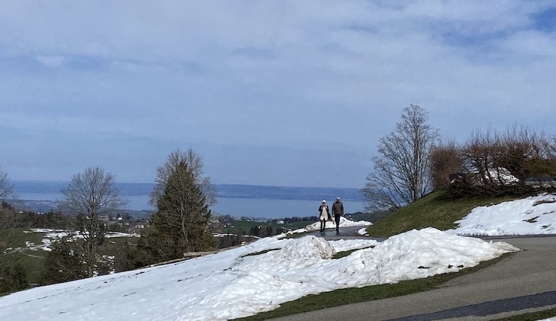 Blick auf den Bodensee