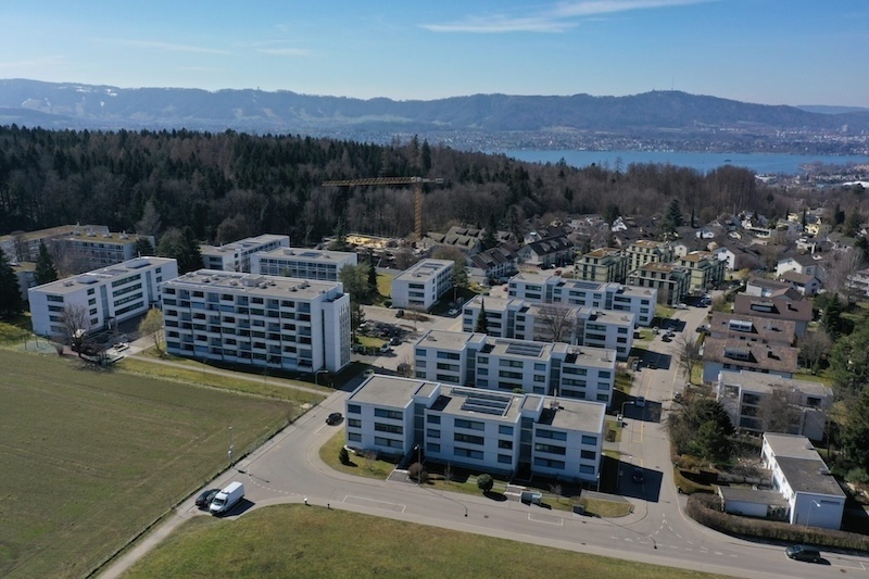Heute: Ahorn-/Rietholz, bescheiden verdichtet
