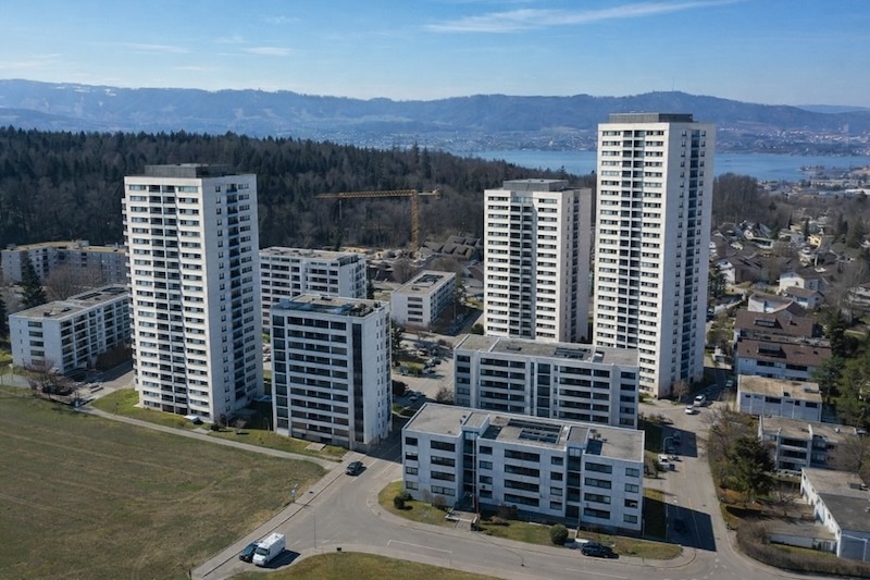 Vision: Ahorn-/Rietholz im Zollikerberg, stark verdichtet (Fotos: Adrian Michael, KI)