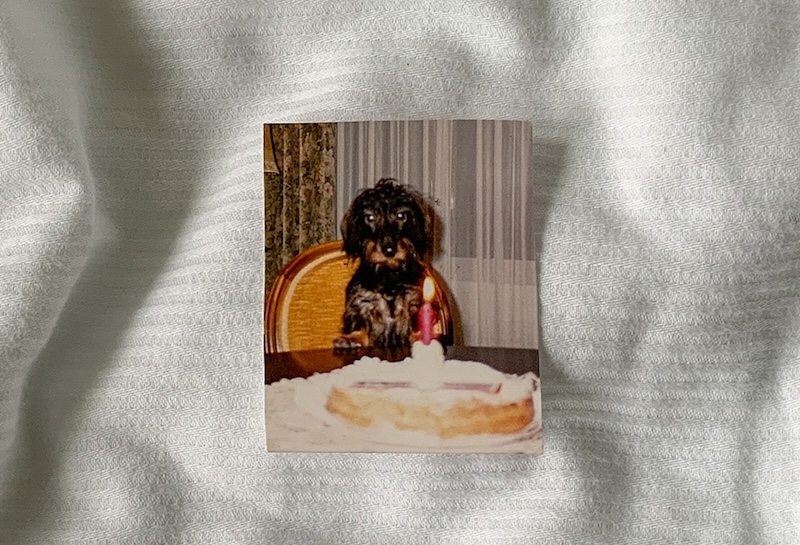 Gertrud (95): «Die Asche von Struppi»