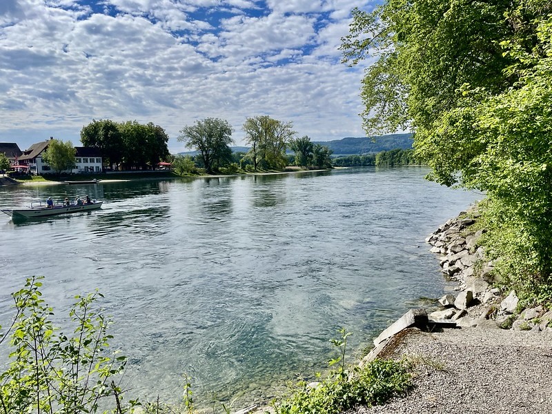 Am deutschen Ufer des Rheins: Die Fähre nach Ellikon am Rhein ZH naht