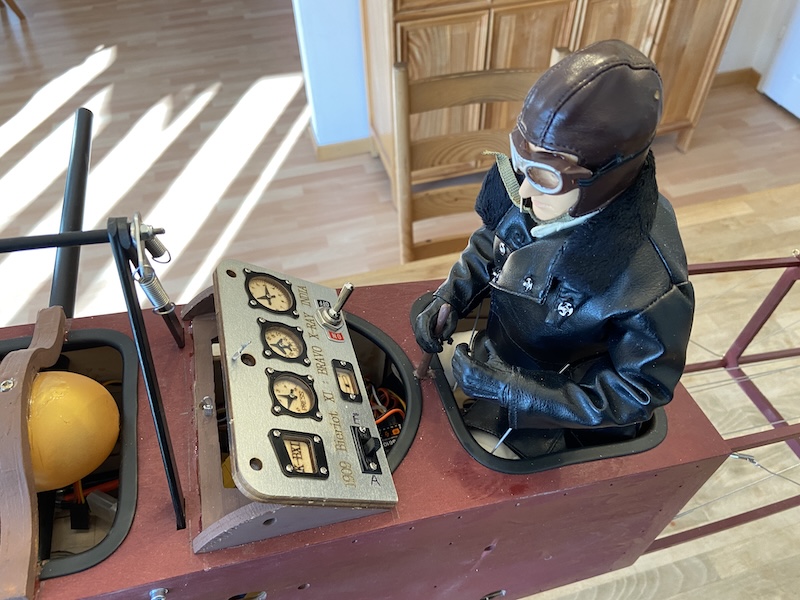 Pilot und Instrumentenbrett