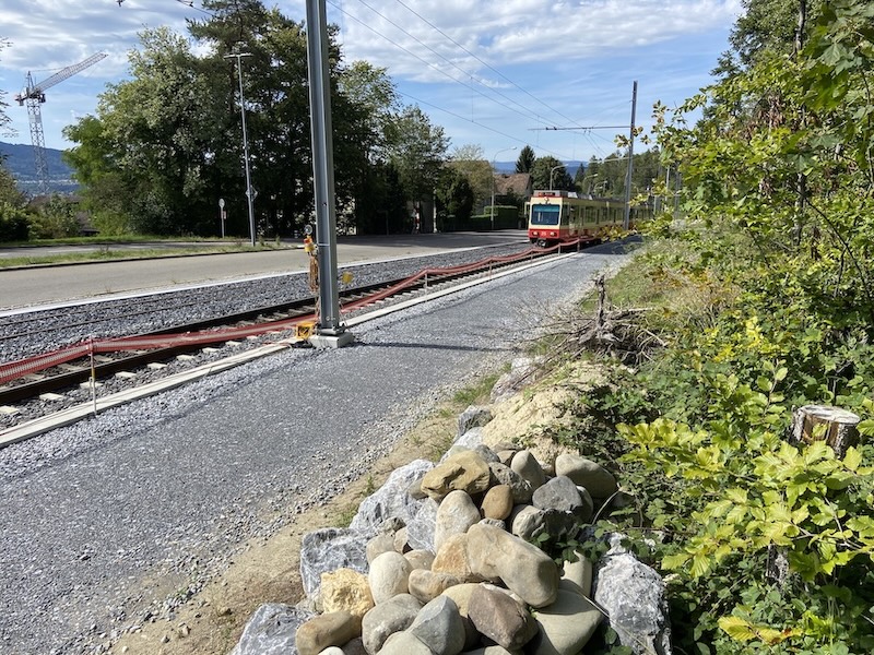 Streckenabschnitt der Forchbahn mit Totholz und Steinlinse