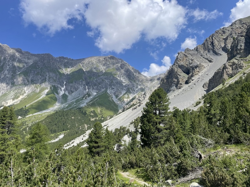 Föhrenzauber kurz vor der Alp Sesvenna
